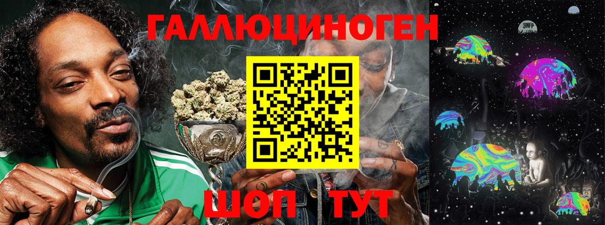 Галлюциногенные грибы Psilocybe Дмитров