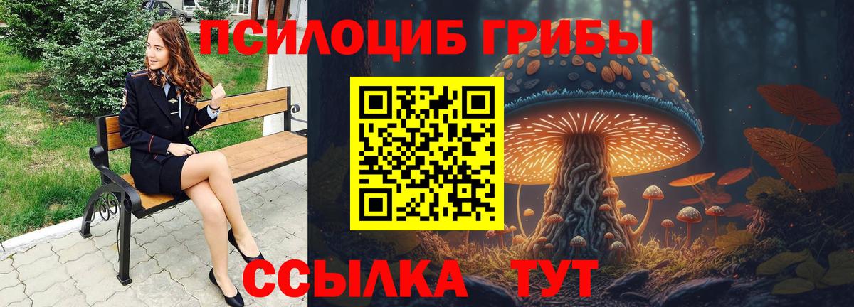 Галлюциногенные грибы мухоморы  Псилоцибиновые грибы Cubensis  Дмитров  Вход с VPN 